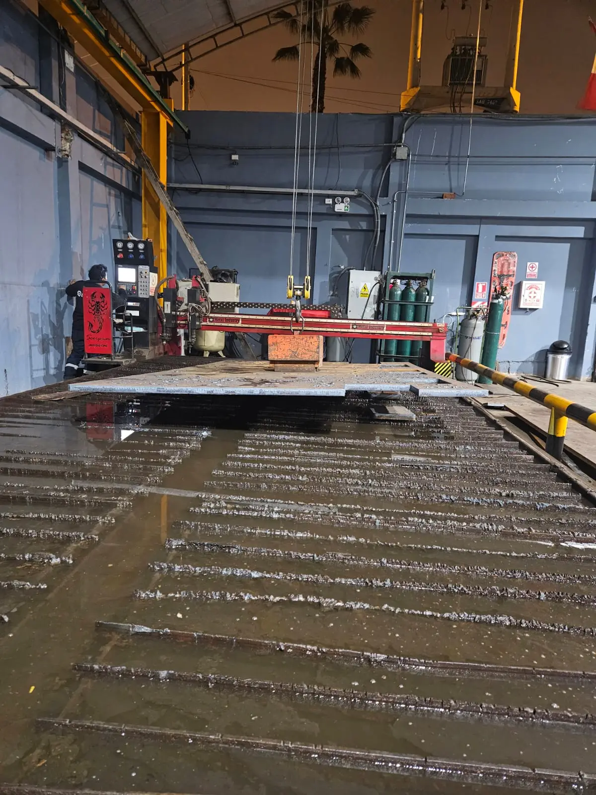 Imagen de WhatsApp 2024-10-03 a las 21.31.17_05aa49ef